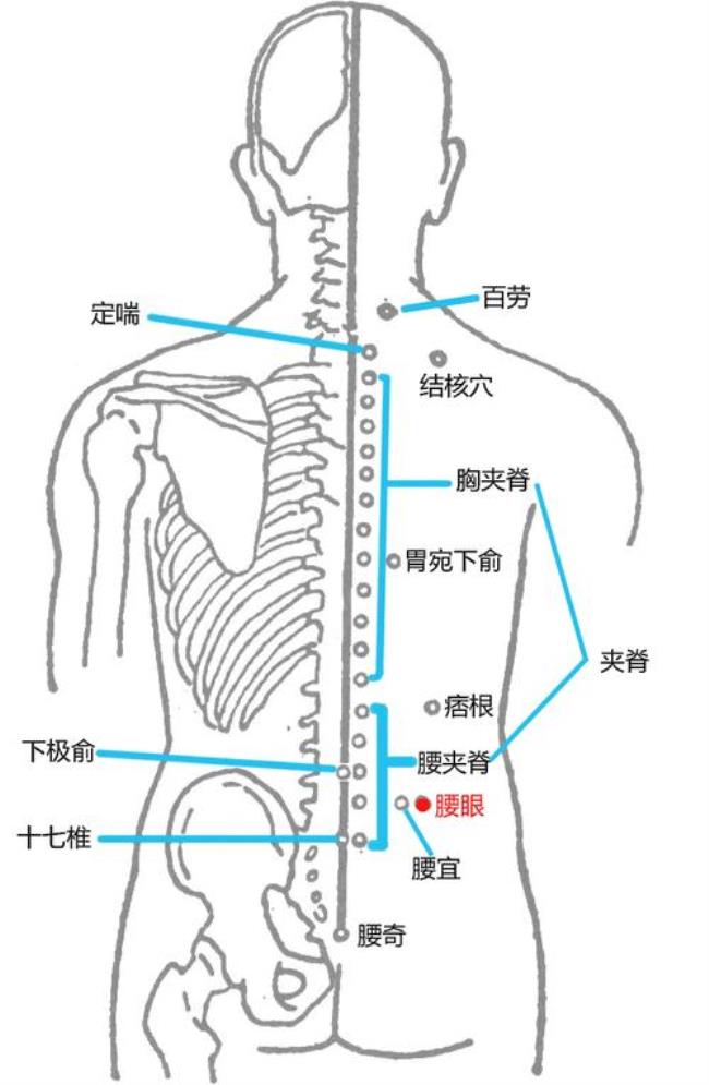 机图是什么