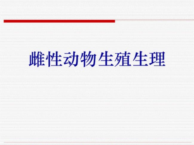 狗的雌性生殖生理解剖