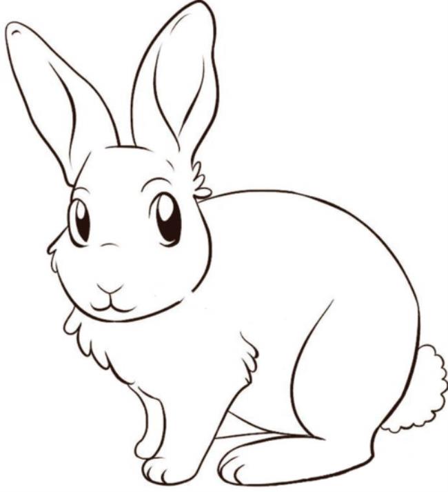 兔子人物简笔画