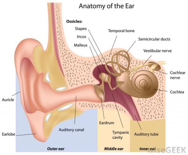 什么是ear管控