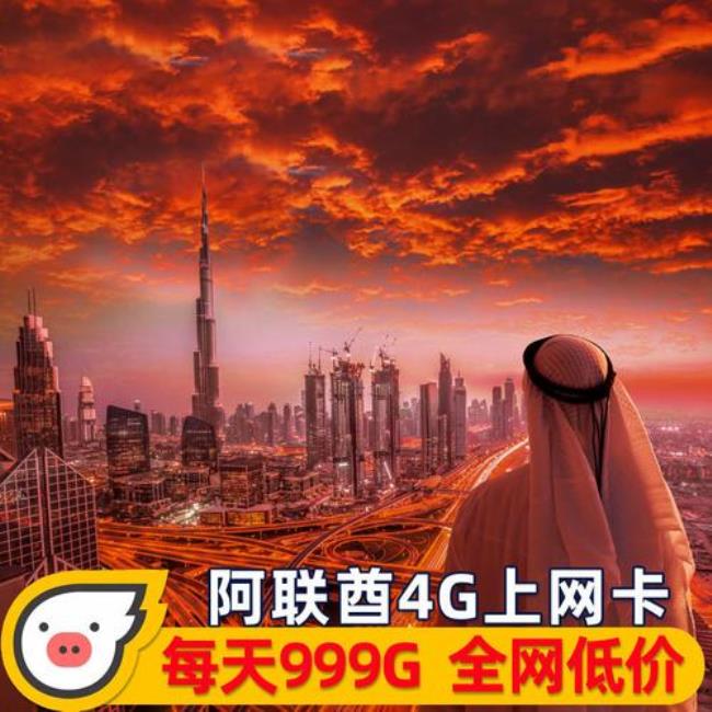 中国电信卡在迪拜怎么收费