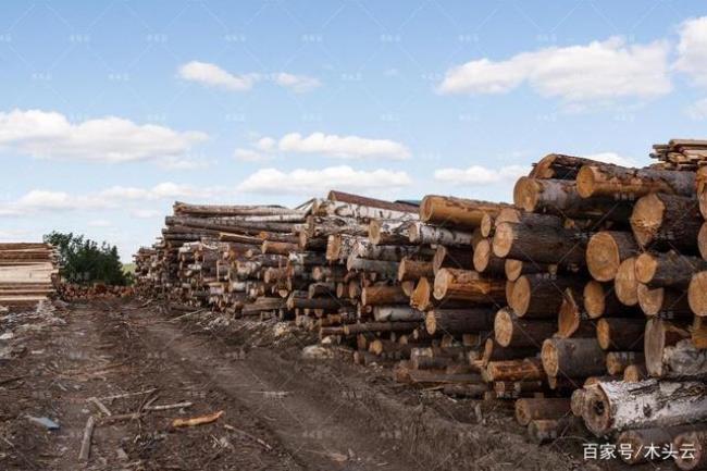 世界上最大的木材出口国
