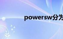 powersw分为正极和负极吗