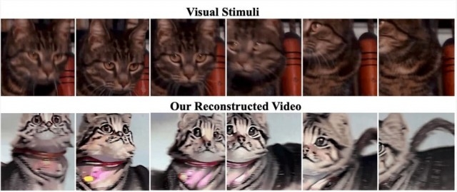 全新AI模型曝光  MinD-Video可将大脑信号生成视频