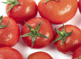 番茄的功效与作用，番茄的选购技巧与储藏方法
