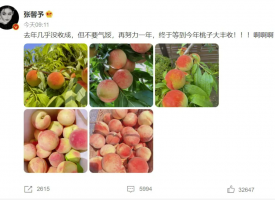 7月29日，张馨予在社交平台上晒出自己种的桃子的照片