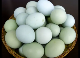 鸭蛋的功效作用与营养价值，鸭蛋的食用方法