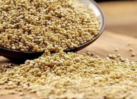 藜麦的功效作用与营养价值，藜麦的食用方法