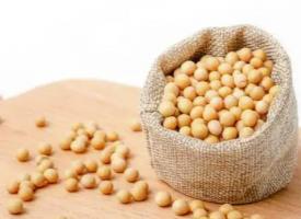 黄豆的功效作用与营养价值，黄豆的选购与储藏方法