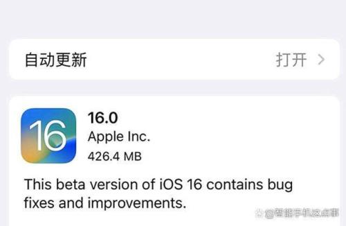 苹果16公测版怎么下载