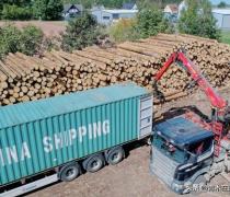 中国让德国冬天没木柴取暖？德企抱怨缺乏木材
