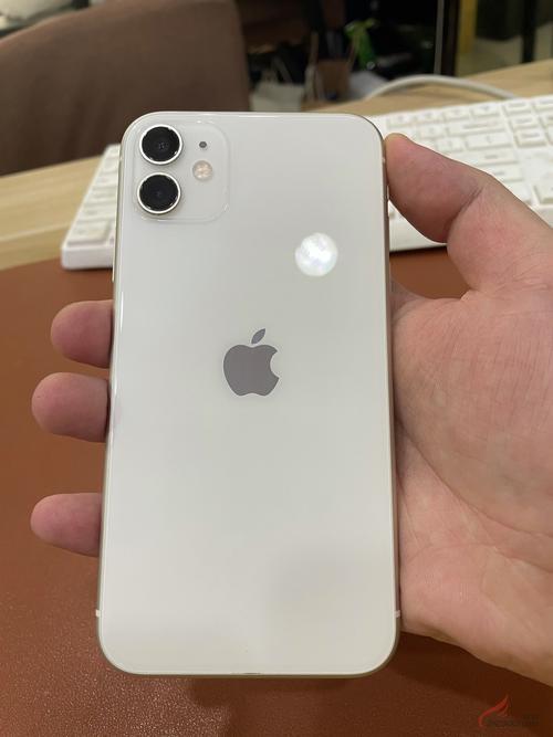 iphone11何时停产