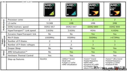 amd是不是cpu类型