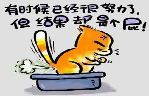 被同事气哭，真心混不下去了，心态要怎么调节