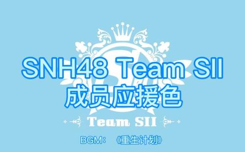 snh48应援色列表