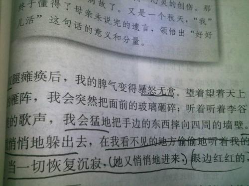 母爱是什么，为我什么仿写句子