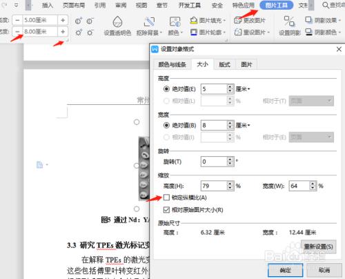 word如何批量设置高亮