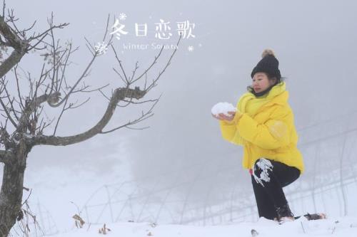 东北恋歌雪红谁演的