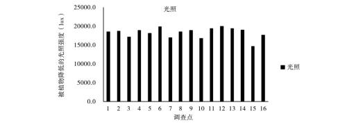 光照单位lux和lx区别