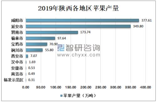 全国苹果产量城市排名