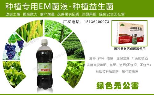 EM菌液可以喷洒在果树上吗有啥好处