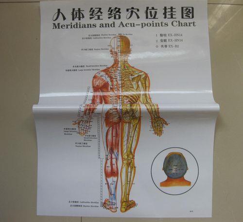 谁有《国家标准穴位挂图》的高清图片或者可下载的链接地址吗