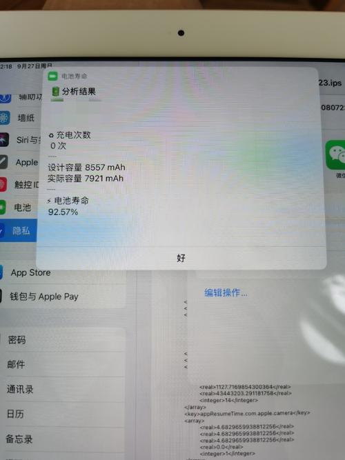 ipad2020如何下载软件