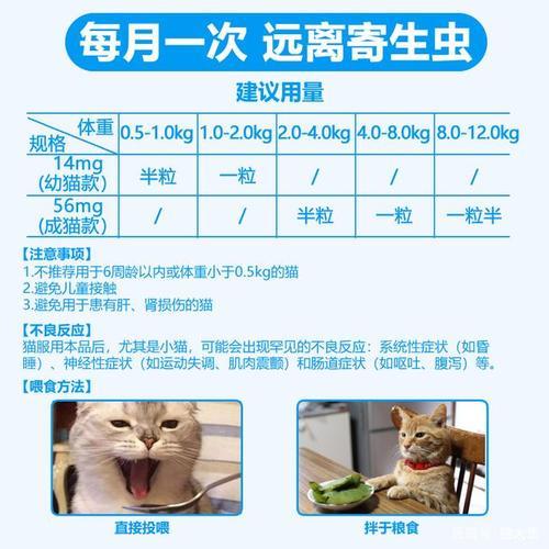 小猫隔多久吃第二次驱虫药啊