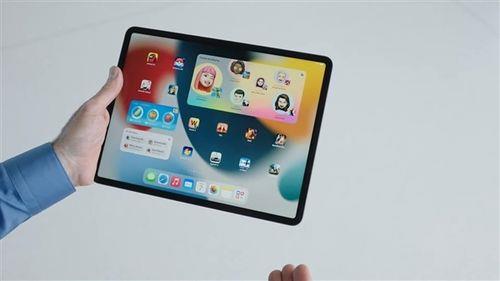 ipad屏幕对比度是多少