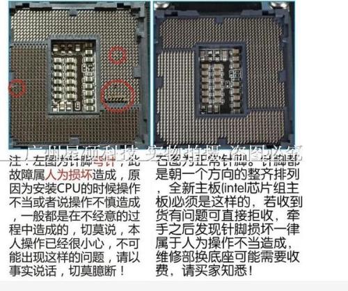 为什么G31不能配E8400