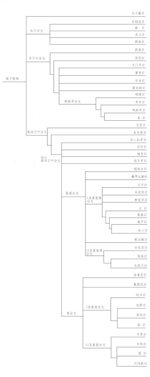 吴传基是什么意思《西语助手》西汉