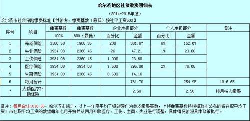 个人社保缴费清单电子版怎么查