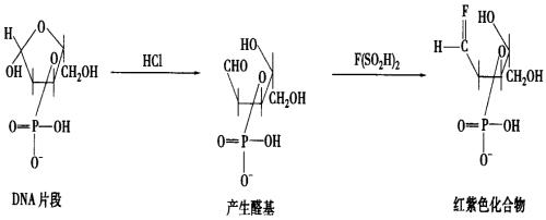 1-丁烯与hbr反应得到的主要产物