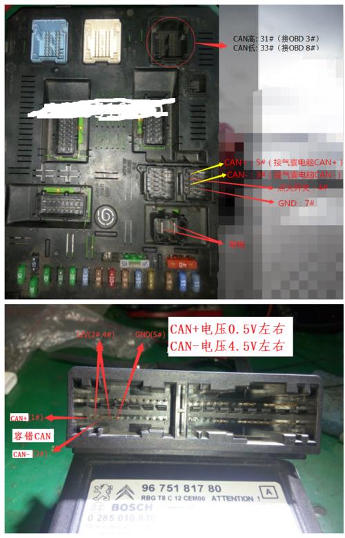 奔腾x 80网关电脑在什么位置