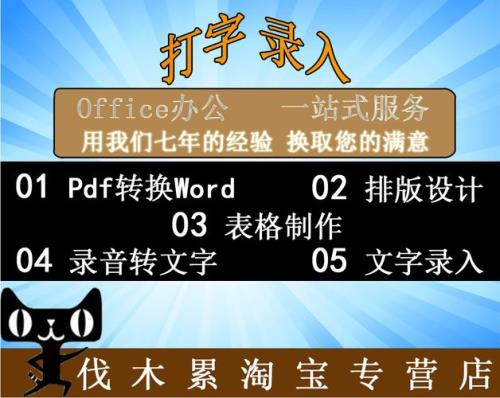 专业文字录入员一般用什么打字