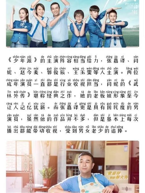 少年派2安宁陪护是什么意思