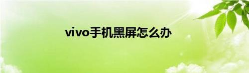 VIVO手机开不了机怎么弄一会开机一会黑屏