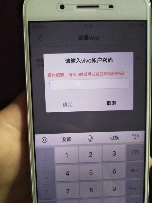 vivo手机刷机出现双重密码怎么办
