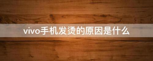 vivoy67由于太烫弹出提示框说由于手机太烫需降温后才能使用软件怎么办