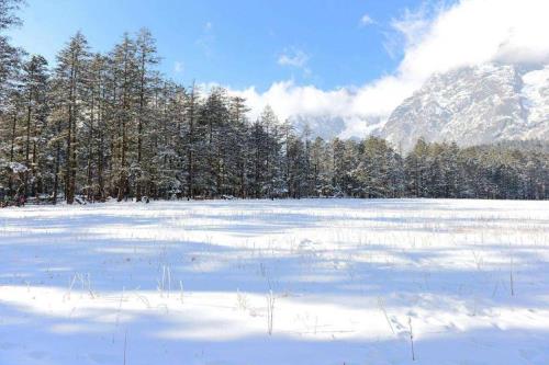 歌词是忽然来的一场雪飘渺了世界什么的，歌曲名叫什么来着