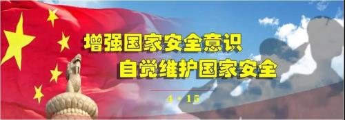 什么是有权作出国家安全战略决策或决定的机关