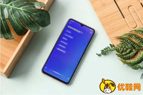 vivo y9s支持无线充电吗