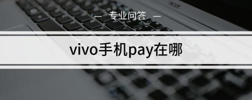 vivo手机里能下载nfc功能吗