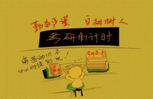 三毛大学读什么系的