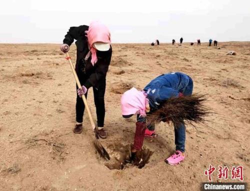 一群大学生在沙漠种树的电视剧