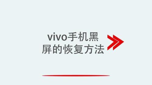 vivo手机黑屏无反应上面有几排字母