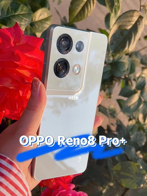 opporeno8pro+变焦多少倍