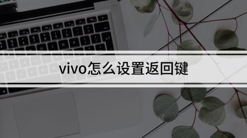 vivo手机怎么调成一键返回的