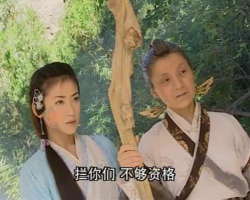 倚天屠龙记金花婆婆被烧死是哪一集