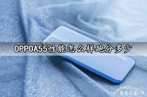 oppoa55支持哪些频段